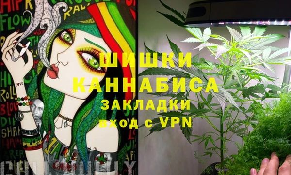 бутират Белокуриха